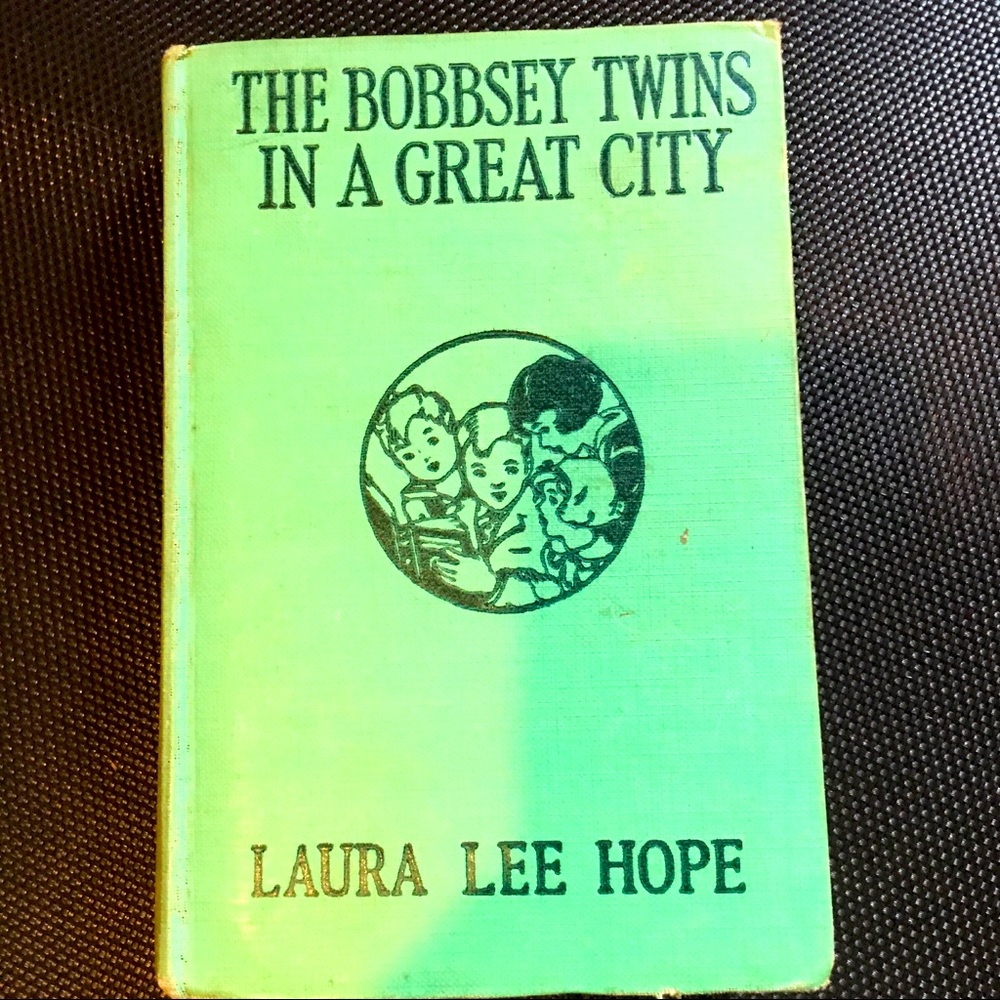 The Bobbsey Twins in a Great City 1917